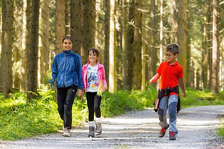 Little hikers in Val Visdende, Cadore, Italy