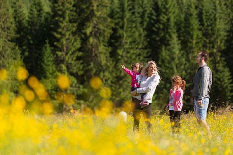 A family walks in Val Visdende, Comelico, Italy