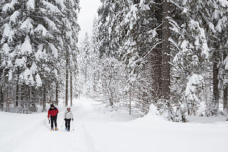 Two hikers along the path towards Refuge Zacchi under an heavy snowfall