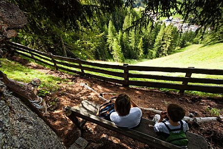 Walkers are resting along the path of larches in Badia Valley, south tyrol, dolomites, Italy Walkers are resting along the path of larches in Badia Valley, south tyrol, dolomites, Italy