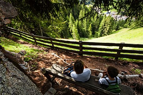 Walkers are resting along the path of larches in Badia Valley, south tyrol, dolomites, Italy