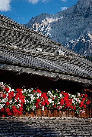 Typical house with flowers in Val Badia, South Tyrol, dolomites, Italy