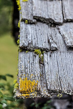 Traditional house, detail of a shingle roof, Badia Valley, dolomites, Italy