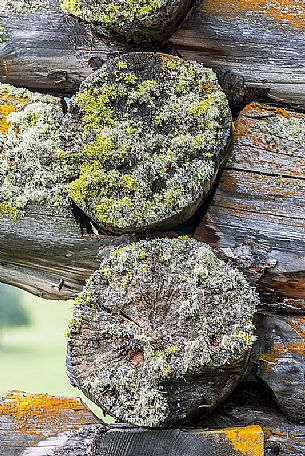 Closeup of corner of a typical wooden building in a alpine village, Badia Valley, dolomites, Italy Closeup of corner of a typical wooden building in a alpine village, Badia Valley, dolomites, Italy