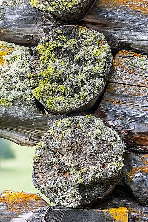 Closeup of corner of a typical wooden building in a alpine village, Badia Valley, dolomites, Italy