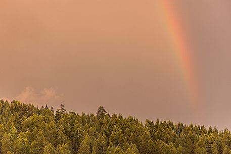 Rainbow over alpine forest, Badia Valley, dolomites, Italy