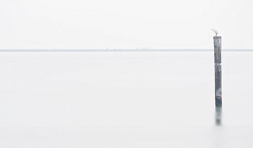 Seascape of the Marano's lagoon, Marano Lagunare, Italy Seascape of the Marano's lagoon, Marano Lagunare, Italy