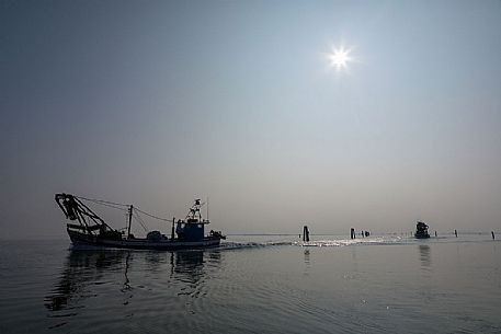 Seascape of the Marano's lagoon, Marano Lagunare, Italy