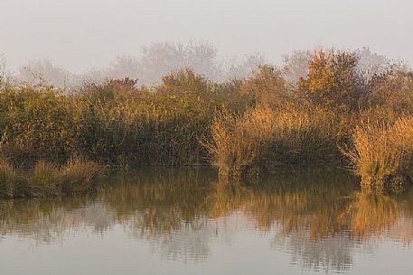 Landscape of the Marano's lagoon, Marano Lagunare, Italy