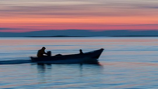 Fishing boat in the Marano's lagoon, Marano Lagunare, Italy