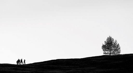 Silhouette young people hiking along a path of Prati dell'Armentara, South Tyrol, Dolomites, Italy 