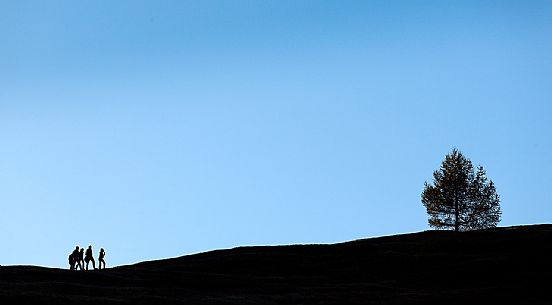 Silhouette young people hiking along a path of Prati dell'Armentara, South Tyrol, Dolomites, Italy 