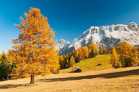 Prati dell'Armentara alpine meadows with barns in autumn, Sasso della Croce mountain group in background, South Tyrol, Dolomites, Italy
 