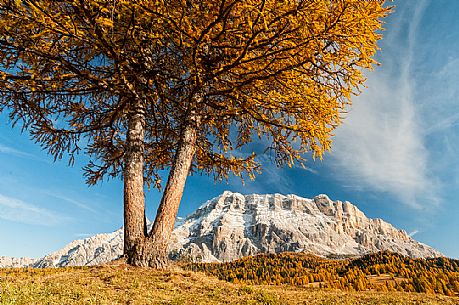 Prati dell'Armentara alpine meadows with barns in autumn, Sasso della Croce mountain group in background, South Tyrol, Dolomites, Italy
 