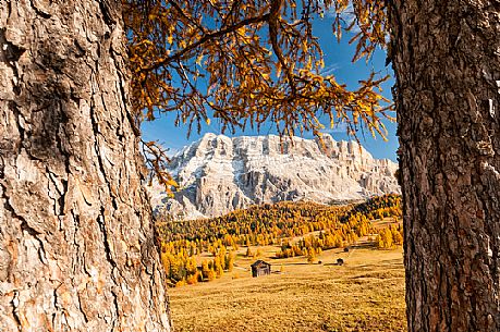 Prati dell'Armentara alpine meadows with barns in autumn, Sasso della Croce mountain group in background, South Tyrol, Dolomites, Italy
 