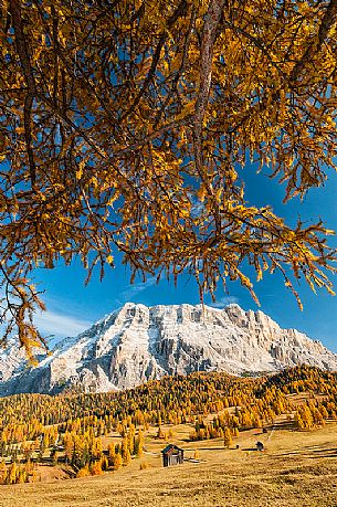 Prati dell'Armentara alpine meadows with barns in autumn, Sasso della Croce mountain group in background, South Tyrol, Dolomites, Italy
 