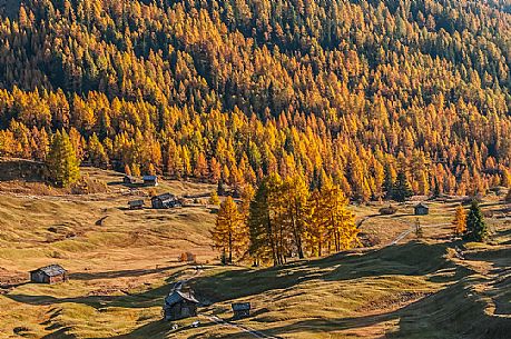 Prati dell'Armentara alpine meadows with barns in autumn, South Tyrol, Dolomites, Italy
 