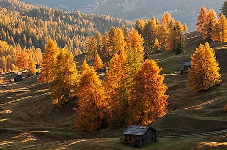 Prati dell'Armentara alpine meadows with barns in autumn, South Tyrol, Dolomites, Italy
 