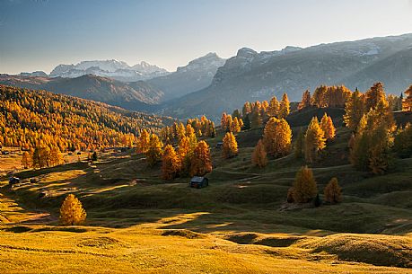 Prati dell'Armentara alpine meadows with barns in autumn, South Tyrol, Dolomites, Italy, Parco Naturale Fanes Senes Braies 