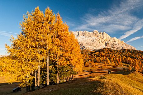 Prati dell'Armentara alpine meadows with barns in autumn, Sasso della Croce mountain group in background, South Tyrol, Dolomites, Italy
 