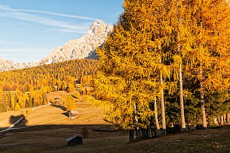 Prati dell'Armentara alpine meadows with barns in autumn, Sasso della Croce mountain group in background, South Tyrol, Dolomites, Italy
Prati dell'Armentara alpine meadows with barns in autumn, Sasso della Croce mountain group in background, South Tyrol, Dolomites, Italy