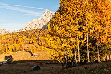 Prati dell'Armentara alpine meadows with barns in autumn, Sasso della Croce mountain group in background, South Tyrol, Dolomites, Italy
 