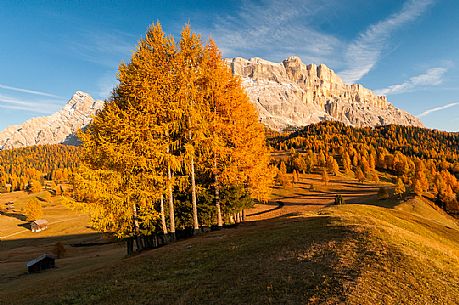 Prati dell'Armentara alpine meadows with barns in autumn, Sasso della Croce mountain group in background, South Tyrol, Dolomites, Italy
 