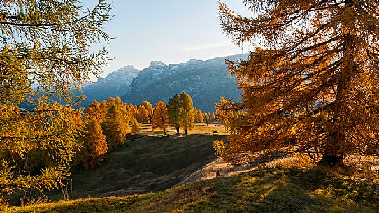 Prati dell'Armentara alpine meadows with barns in autumn, South Tyrol, Dolomites, Italy, Parco Naturale Fanes Senes Braies Prati dell'Armentara alpine meadows with barns in autumn, South Tyrol, Dolomites, Italy, Parco Naturale Fanes Senes Braies