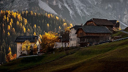 Typical farm of Longiar in autumn, South Tyrol, Dolomites, Italy, Valle dei Mulini, Longiar, Badia Valley, Puez Odle Natural Park 