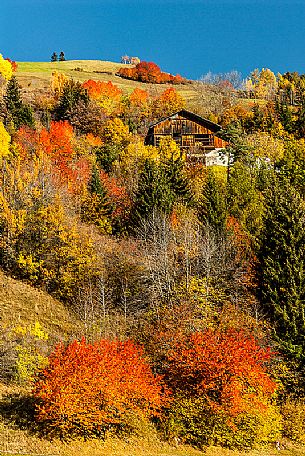 Autumn in Funes valley, dolomites, italy