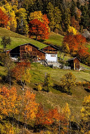 Autumn in Funes valley, dolomites, italy