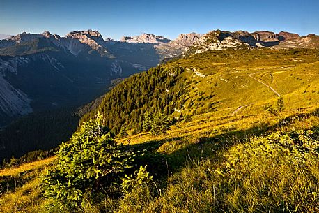 Morning in the meadows near Peller hut, Brenta's dolomites, Val di Non, Trentino, Italy