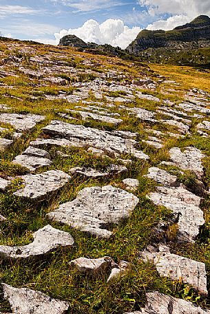 Landscape at Alpe di Nana, Brenta
dolomites, Trentino, Italy Landscape at Alpe di Nana, Brenta
dolomites, Trentino, Italy