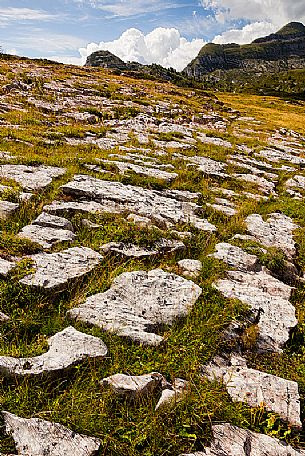 Landscape at Alpe di Nana, Brenta
 dolomites, Trentino, Italy