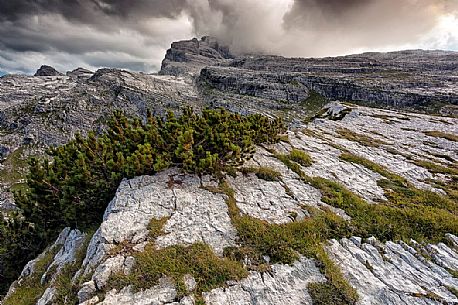 Dolomites of Brenta from Grostè pass, Madonna di Campiglio, Italy Dolomites of Brenta from Grostè pass, Madonna di Campiglio, Italy