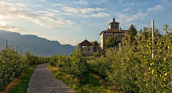 Castel Nanno castle and apple trees, Val di Non, Trentino, Italy Castel Nanno castle and apple trees, Val di Non, Trentino, Italy