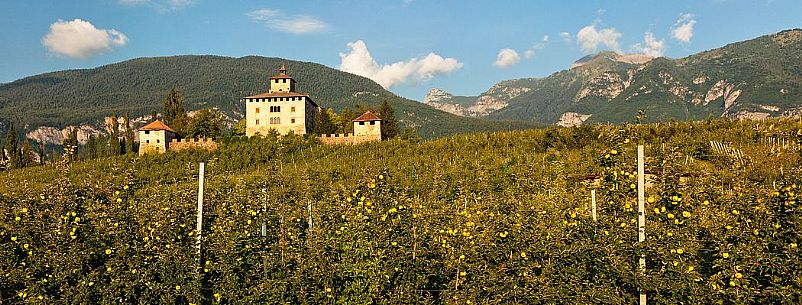Castel Nanno castle and apple trees, Val di Non, Trentino, Italy Castel Nanno castle and apple trees, Val di Non, Trentino, Italy