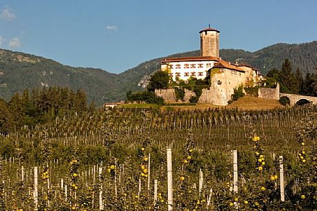 Castel Valer castle and apple trees, Val di Non, Trentino, Italy Castel Valer castle and apple trees, Val di Non, Trentino, Italy