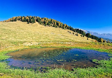 Pond in the Campo Manderiolo, Asiago, italy