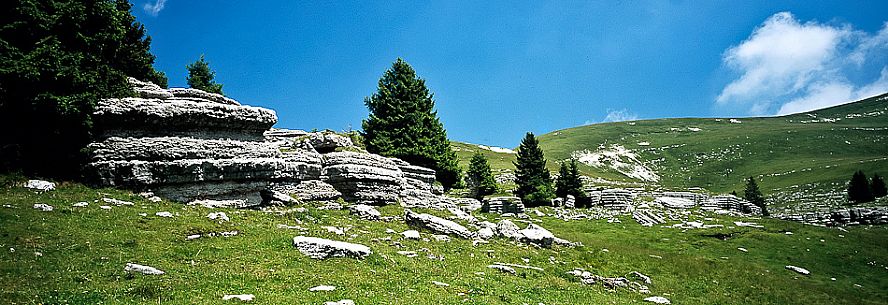 The rocky garden of Fior mount, Melette plateau, Asiago, Italy