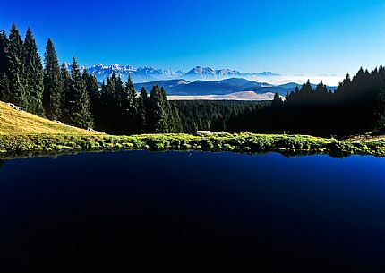 Lake at  Meletta di Gallio and in the background the dolomites, Asiago, Italy