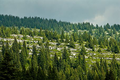 Landscape of Zebio mountain, Asiago, Italy