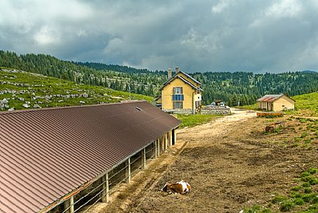 Zebio Alm. Asiago plateau, italy
