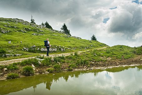 Hiker in the landscape of Monte Zebio, Asiago, Veneto, Italy, Europe Hiker in the landscape of Monte Zebio, Asiago, Veneto, Italy, Europe