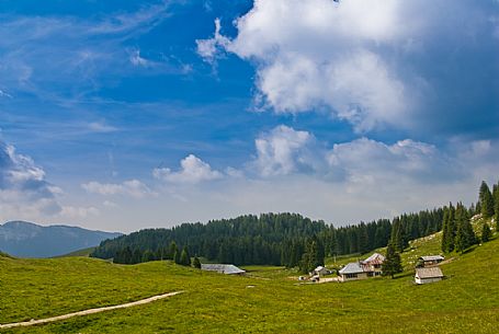 Malga Porta Manazzo alm, Asiago, Italy