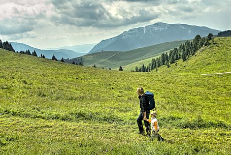 Walking in the meadows of Malga Porta Manazzo hut, Asiago, Italy