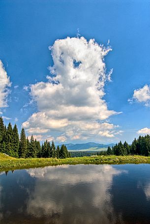 Little lake at Meletta di Gallio, Asiago, Italy