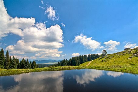 Little lake at Meletta di Gallio, Asiago, Italy