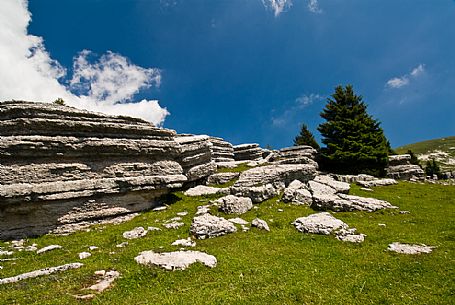 The rocky garden of Fior mount, Melette plateau, Asiago, Italy