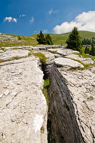 The rocky garden of Fior mount, Melette plateau, Asiago, Italy